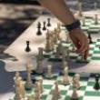Park Walks, July 27, 2022, 07/27/2022, Chess in the Park Walk (online)