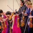 Concerts, August 02, 2022, 08/02/2022, Acclaimed String Orchestra: Schubert and More