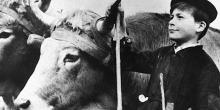 Films, September 23, 2022, 09/23/2022, Farrebique (1946): Documentary on French Peasants