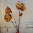 Opening Receptions, September 23, 2022, 09/23/2022, Regula R&uuml;egg: Photographs