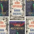 Book Discussions, October 18, 2022, 10/18/2022, 2 New Novels: Demon Copperhead / Lark Ascending (online)