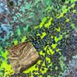 Gallery Talks, October 26, 2022, 10/26/2022, Artist Talk: The Color of Everything