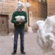 Opening Receptions, September 21, 2022, 09/21/2022, Here, There, and In Between: Voices from Yemen and Haiti
