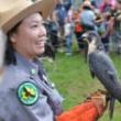 Birdwatchings, September 18, 2022, 09/18/2022, Raptor Fest