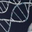 Discussions, October 07, 2022, 10/07/2022, Trust in Science (online)