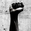 Lectures, October 04, 2022, 10/04/2022, Futures of Black Resistance: Disruption, Rebellion, Abolition (online)