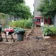 Tours, October 01, 2022, 10/01/2022, East New York Garden Tour
