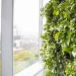 Discussions, October 22, 2022, 10/22/2022, Sustainability in Architecture: Contemporary Examples from Practitioners