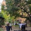 Workshops, November 06, 2022, 11/06/2022, Tai Chi Class
