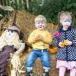 Festivals, October 22, 2022, 10/22/2022, Harvest Festival