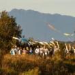 Festivals, October 22, 2022, 10/22/2022, 2nd Annual Amsterdam Eco-Arts Festival