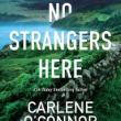 Book Discussions, October 25, 2022, 10/25/2022, No Stangers Here: New Mystery Novel (online)