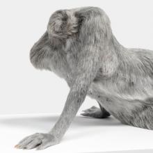 Opening Receptions, November 12, 2022, 11/12/2022, Isabelle Albuquerque: Orgy for Ten People in One Body