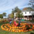 Festivals, October 30, 2022, 10/30/2022, Pumpkin Point 2022