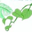 Others, November 08, 2022, 11/08/2022, Exchange Plants with Fellow Green Thumbed Growers