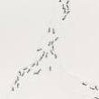 Gallery Talks, November 04, 2022, 11/04/2022, Catherine Chalmers: We Rule: Exhibition Discussion