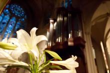 Concerts, February 21, 2025, 02/21/2025, Bach at Noon (In Person and Online)