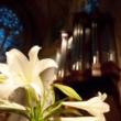 Concerts, November 01, 2023, 11/01/2023, Bach at Noon (In Person and Online)