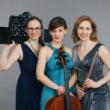 Concerts, November 17, 2022, 11/17/2022, The Harmony of Three Instruments