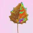 Performances, November 08, 2022, 11/08/2022, Fall Rainbowz: Performance Art