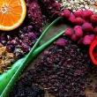 Workshops, November 11, 2022, 11/11/2022, Potions: From Poisons to Panaceas - the Secret Life of Botanicals (online)