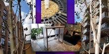 Gallery Talks, November 12, 2022, 11/12/2022, Flora Fantastic: Eco-Critical Contemporary Botanical Art: Curator's Tour (online)