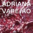 Book Discussions, November 17, 2022, 11/17/2022, Adriana Varej&atilde;o: Artist Monograph