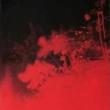 Book Discussions, November 17, 2022, 11/17/2022, Richard Mosse: Broken Spectre