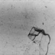 Videos, November 17, 2022, 11/17/2022, Four Quartets: Short Videos