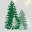 Others, December 01, 2022, 12/01/2022, Winter Haven Holiday Lighting