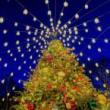 Festivals, November 29, 2022, 11/29/2022, Park Tree Lighting