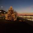Festivals, December 03, 2022, 12/03/2022, Holiday on the Hudson Tree Lighting
