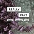 Discussions, November 23, 2022, 11/23/2022, 5 Ways to Look at Misinformation