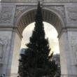 Festivals, December 07, 2022, 12/07/2022, Park Tree Lighting Ceremony