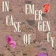 Book Discussions, January 30, 2023, 01/30/2023, In Case of Emergency: A Novel of the Iranian Counterculture (online)