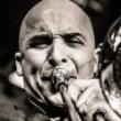 Concerts, January 20, 2023, 01/20/2023, The Passion and Intensity of a Salsa Orchestra