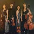 Concerts, January 24, 2023, 01/24/2023, Up Close With an Acclaimed Quartet