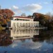 Park Walks, January 07, 2023, 01/07/2023, Nature Walk and Traditional Japanese Music