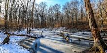 Hikes, January 03, 2023, 01/03/2023, Scenic Perspectives Virtual Hike: The Paw Trail (online)