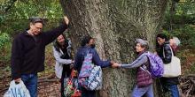 Park Walks, January 19, 2023, 01/19/2023, Forest Bathing