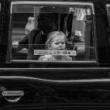 Discussions, January 23, 2023, 01/23/2023, The Passionate Photographer Critique (online)