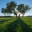 Workshops, March 16, 2023, 03/16/2023, 10 Essential Tips to Level Up Your Photography (online)