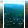 Opening Receptions, January 19, 2023, 01/19/2023, Tula Telfair: From a Distance