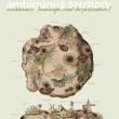 Book Discussions, February 01, 2023, 02/01/2023, Ambiguous Territory: Architecture, Landscape and the Postnatural