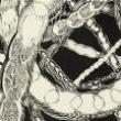 Opening Receptions, January 20, 2023, 01/20/2023, Doi Kim: Velvet