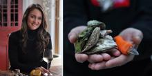 Talks, February 24, 2023, 02/24/2023, Tide to Table: Celebrating America's Oysters