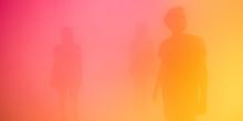 Book Discussions, February 15, 2023, 02/15/2023, New Approaches to 3D Vision: How Humans, Animals and AI Navigate the 3D World