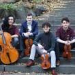 Concerts, January 28, 2023, 01/28/2023, String Quartet Celebration
