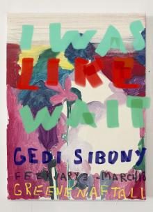 Opening Receptions, February 03, 2023, 02/03/2023, Gebi Sibony: I Was Like Wait