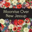 Book Discussions, February 15, 2023, 02/15/2023, Moonrise Over New Jessup: Thriving in the Black South (online)
